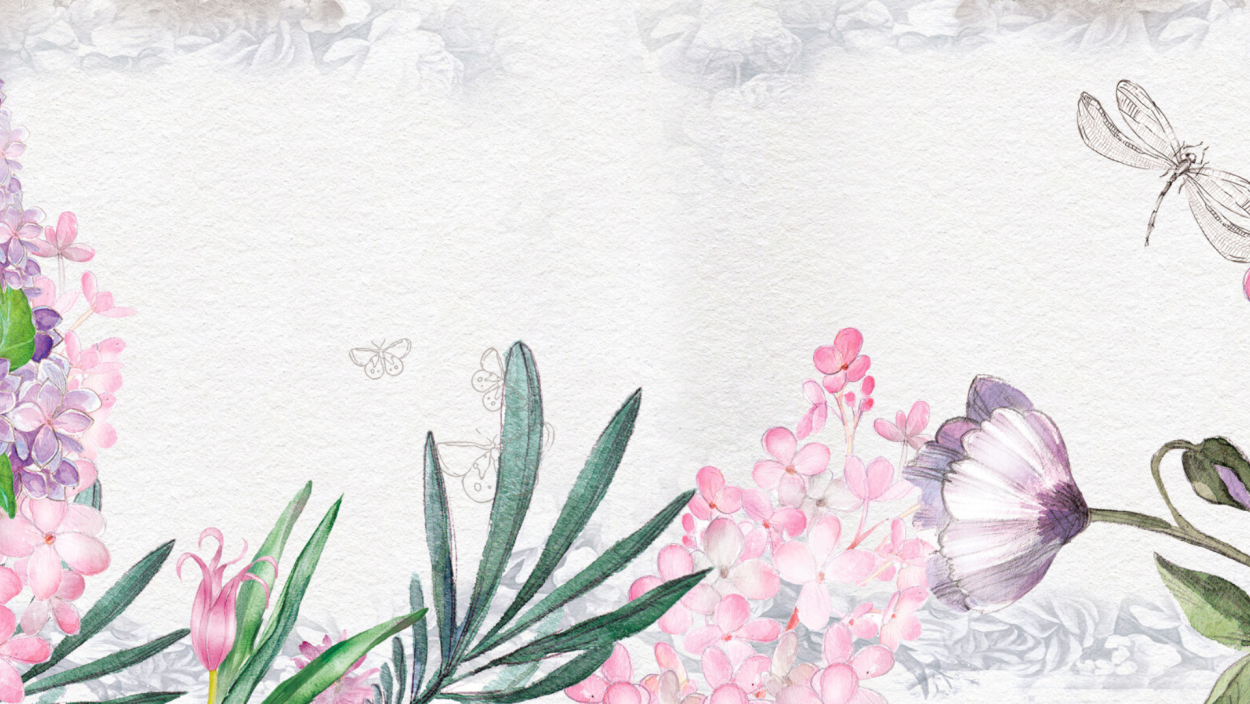 Гибискус Secret Wishes