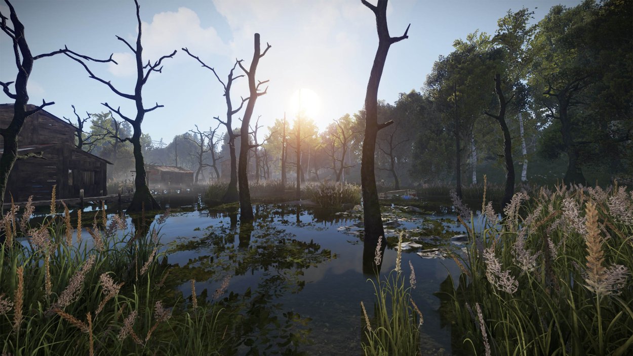 Озера под мхом