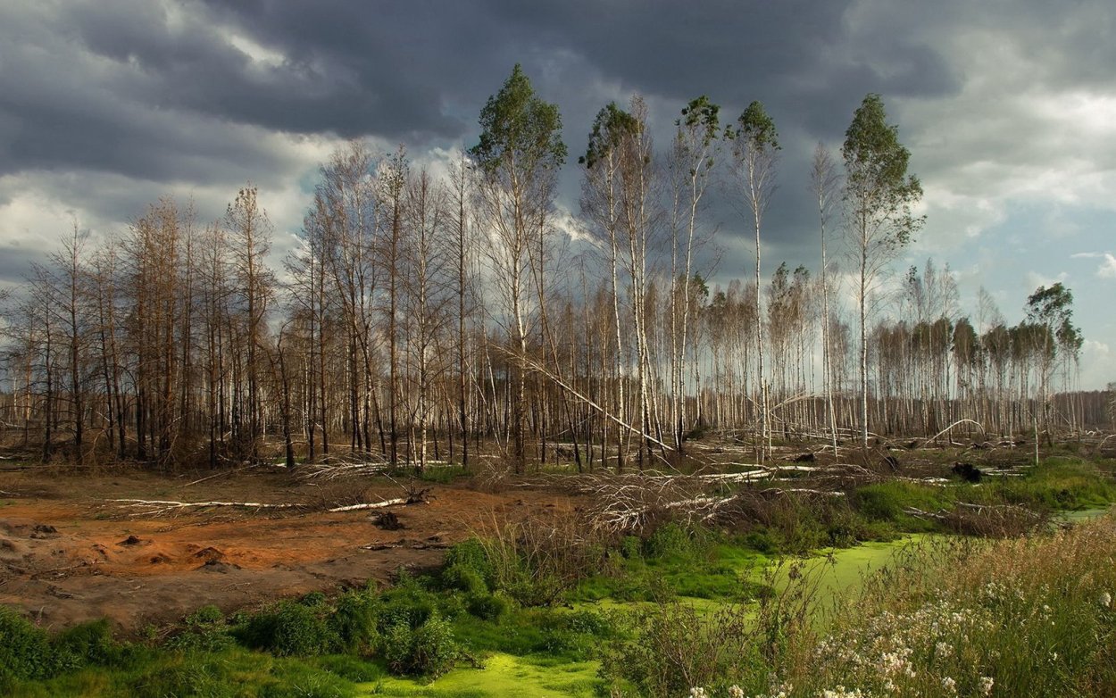 Гиблые топи