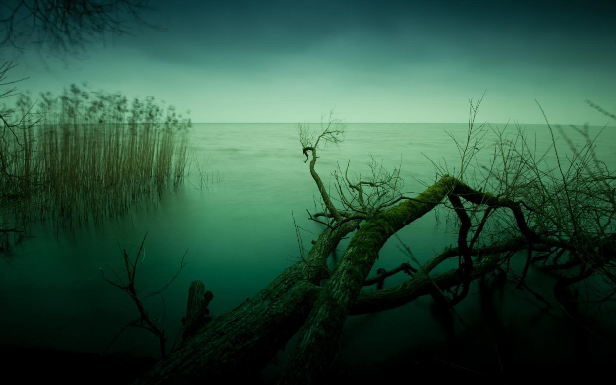 Болото Манчак, США, штат Луизиана