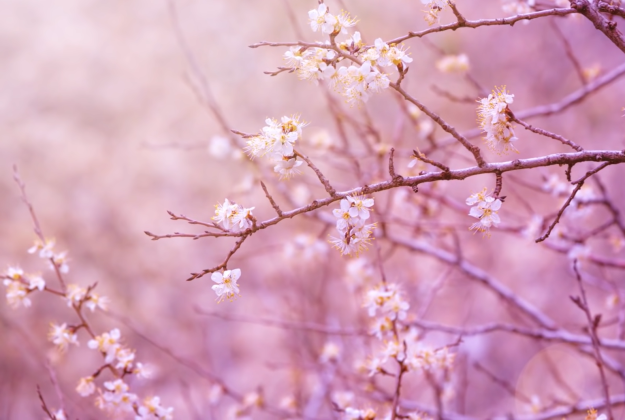 Фон цвета миндаля