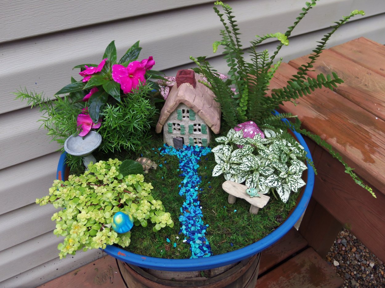 Комнатный садик