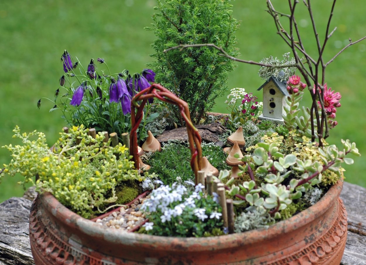 Миниатюрный сад в горшке