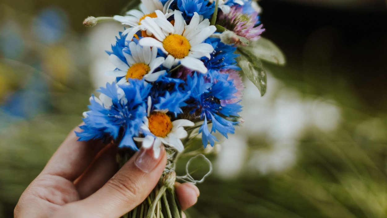 Девочка с полевыми цветами