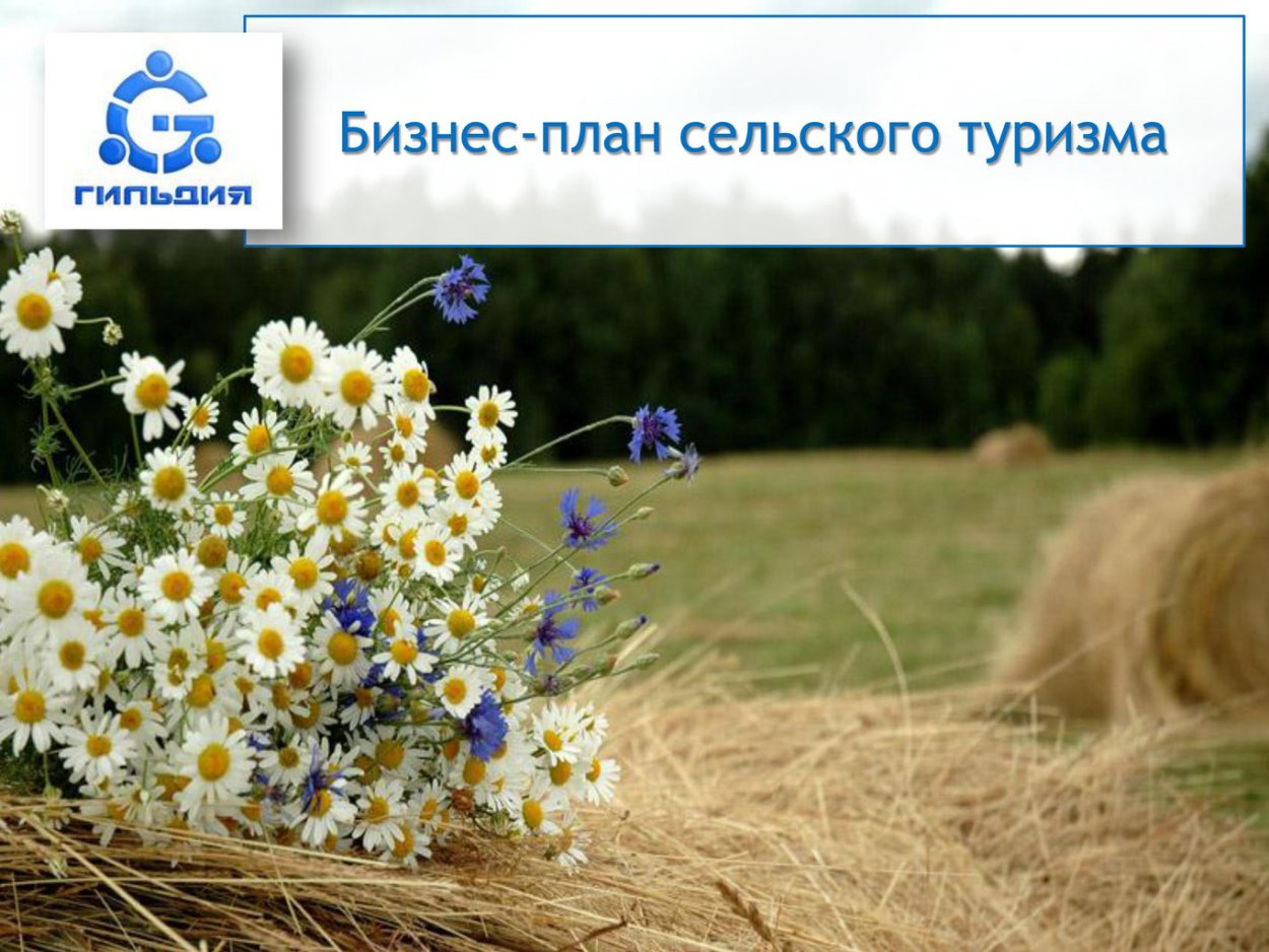 Природа васильки