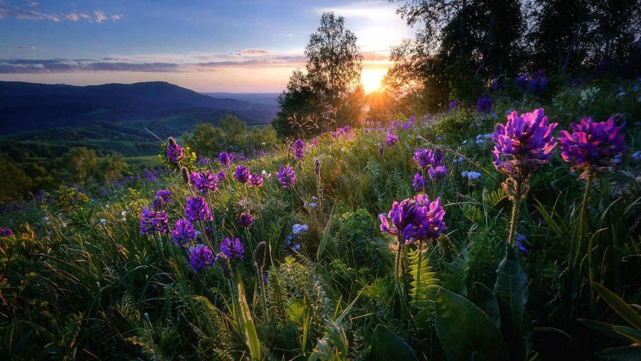 Пейзажи природы
