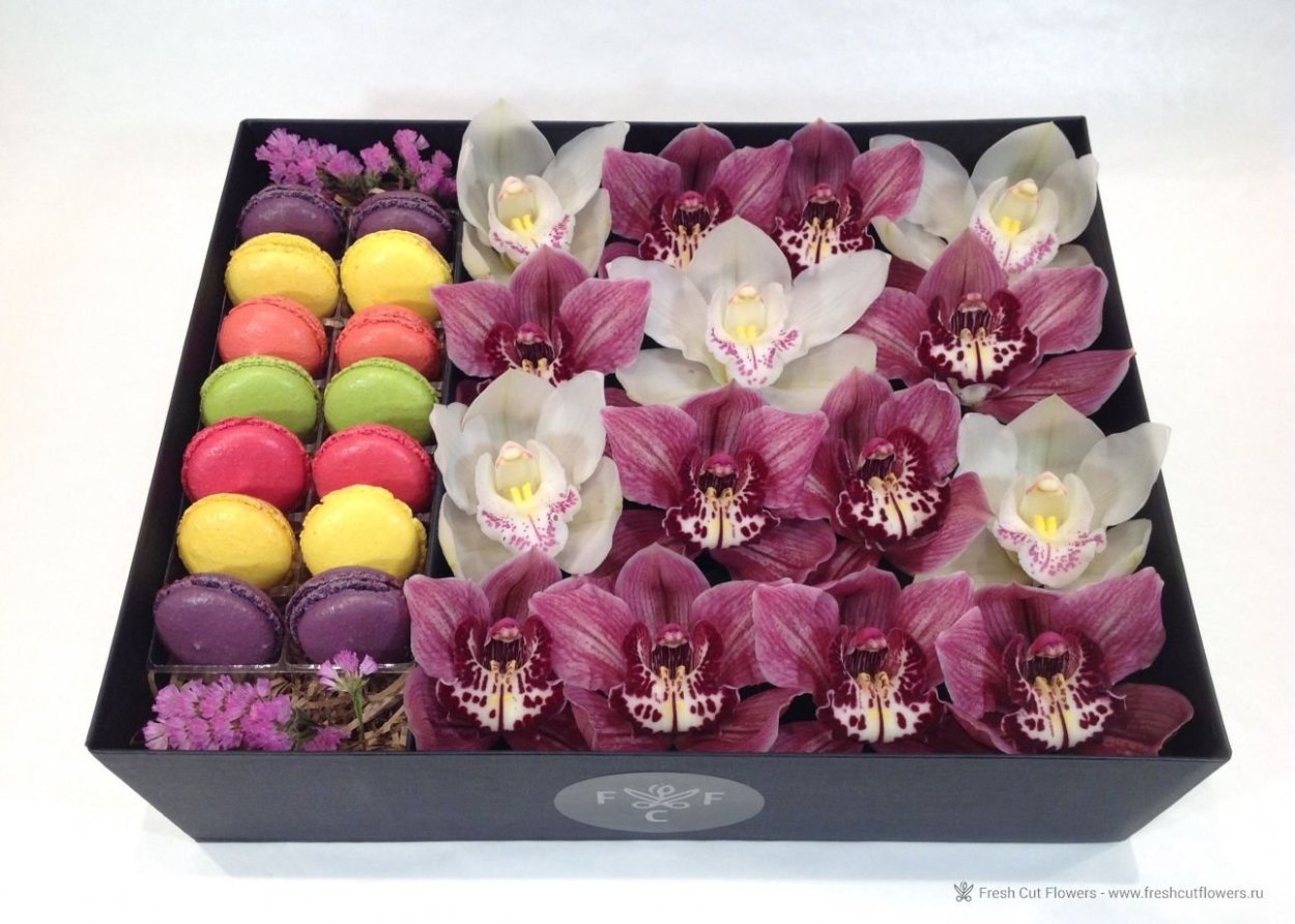 Орхидея в подарочной коробочке