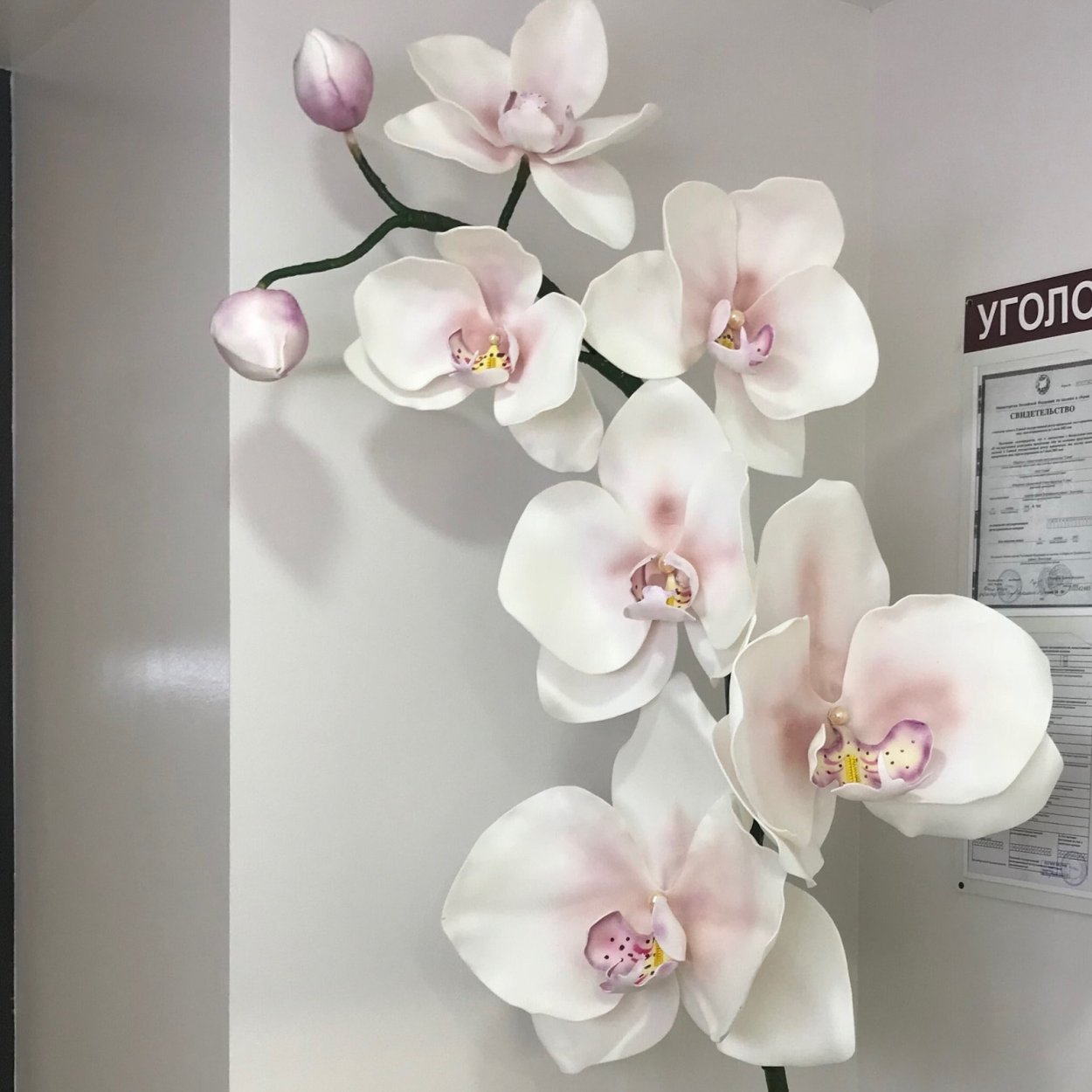 Орхидея из изолона