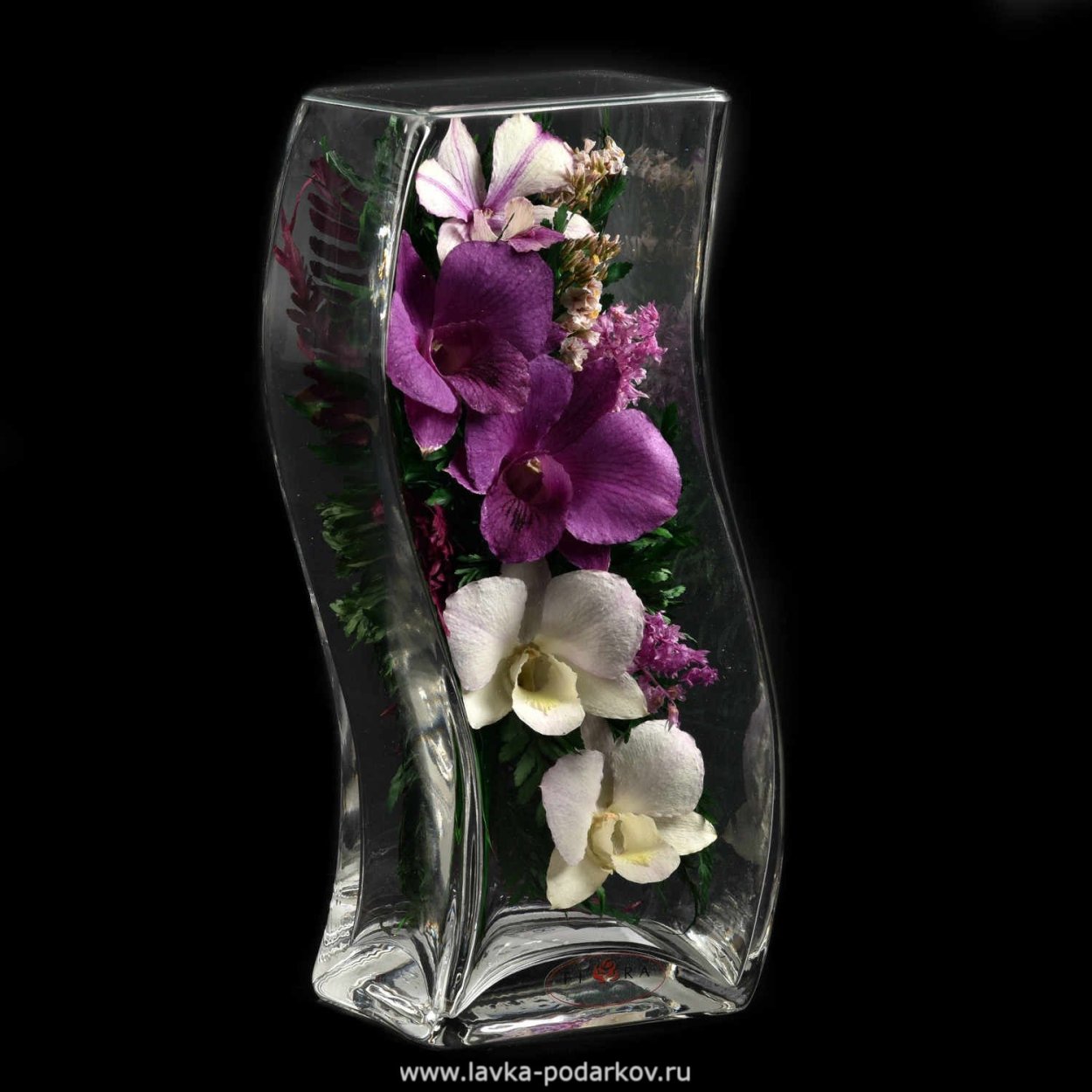 Орхидея в колбе