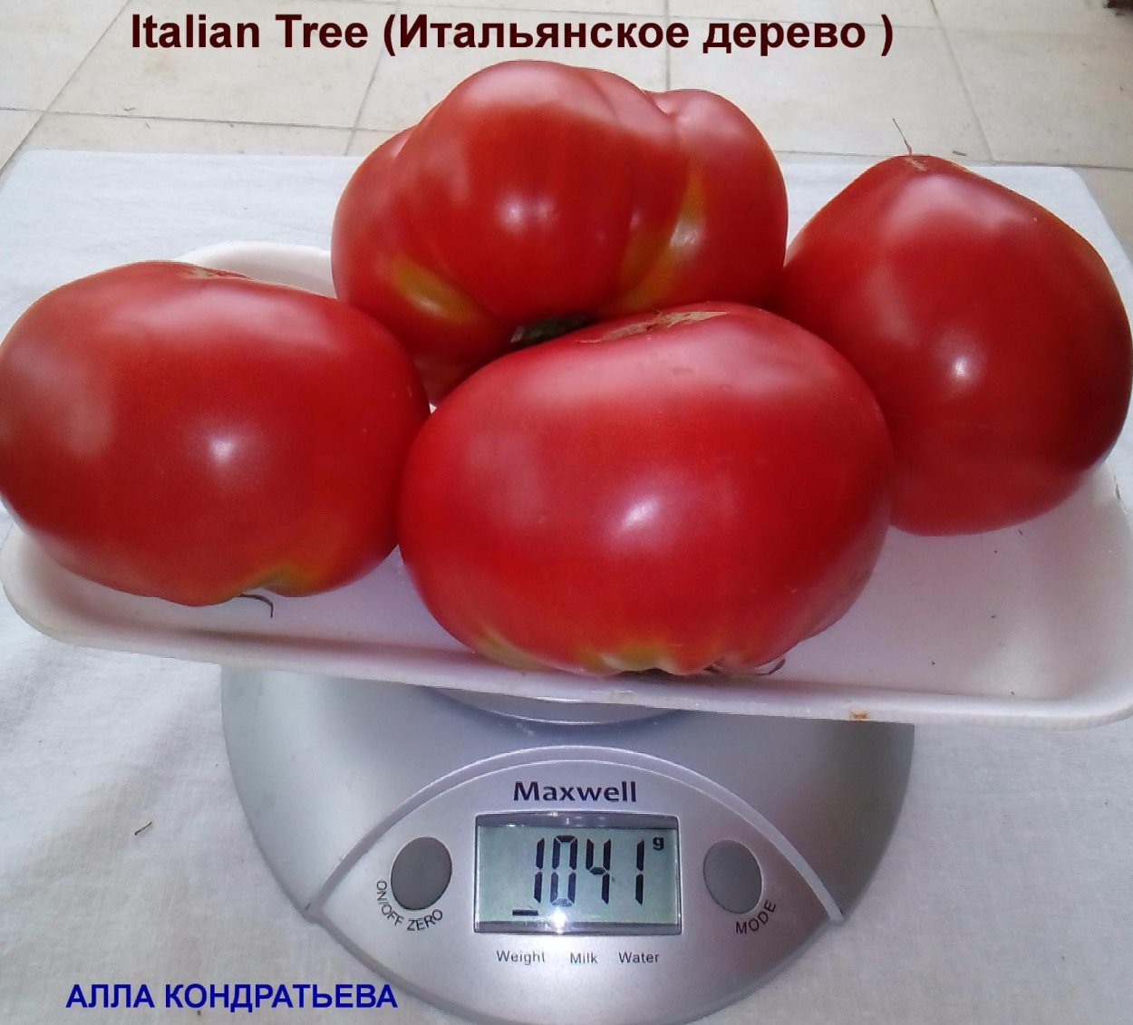 Помидоры с базиликом