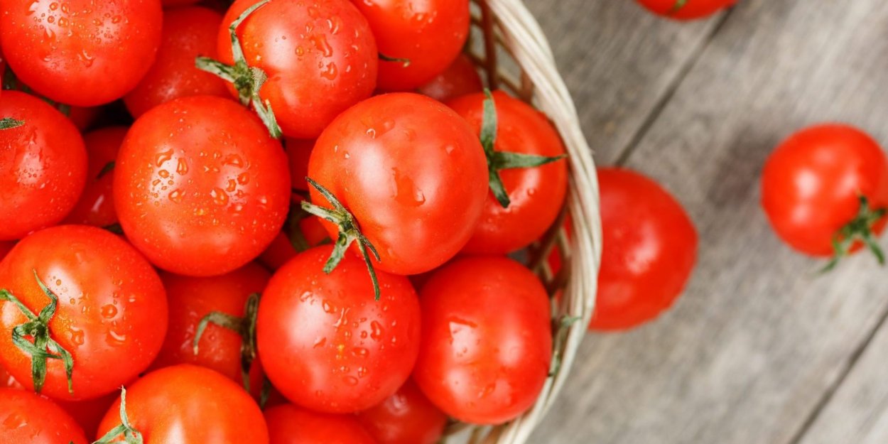 Костолуто Дженовезе томат