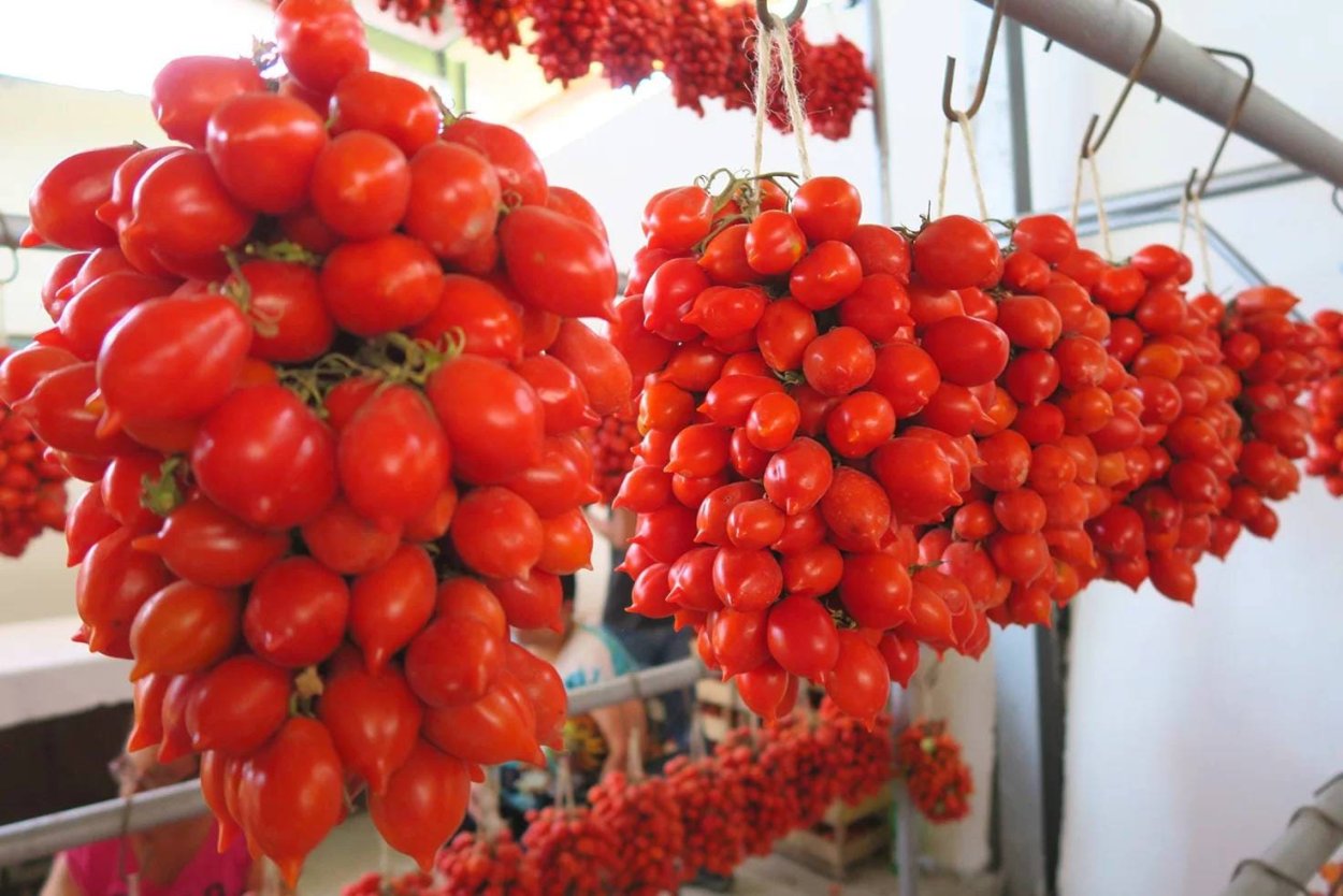 Старинные Ботанические иллюстрации 1640-1900