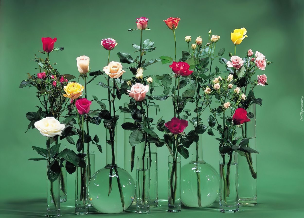 Крутые букеты