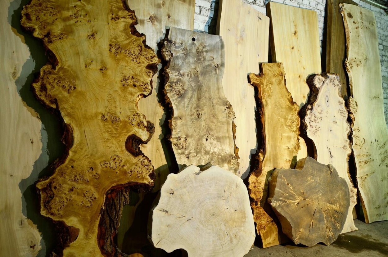 Тополь белый нивеа