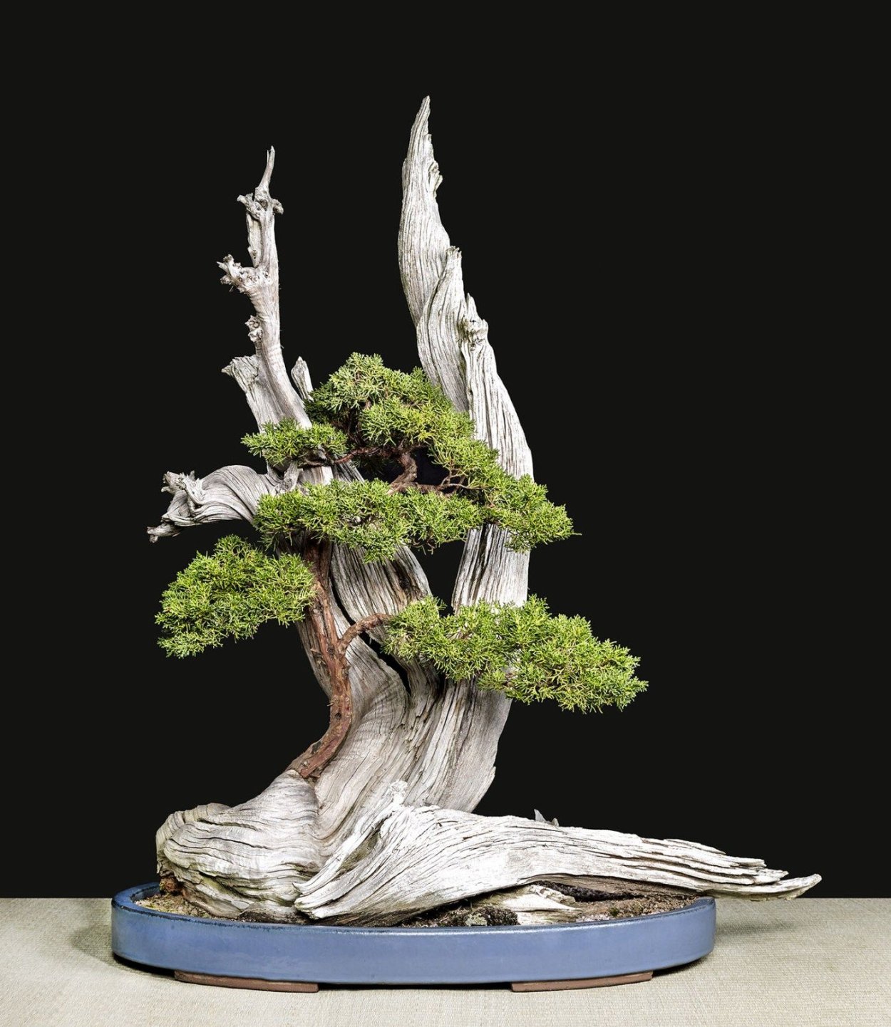 Ниваки ямадори