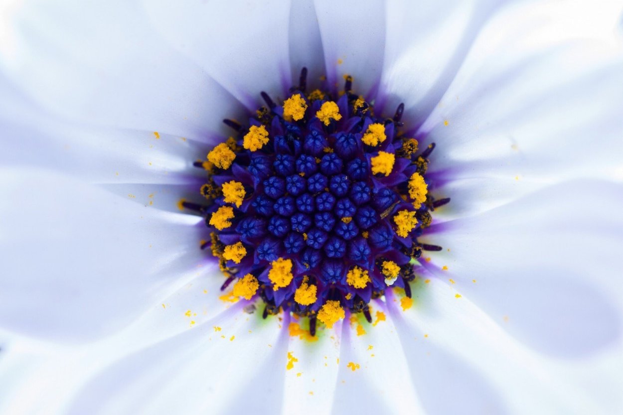 Фотографии в синем и желтом цвете