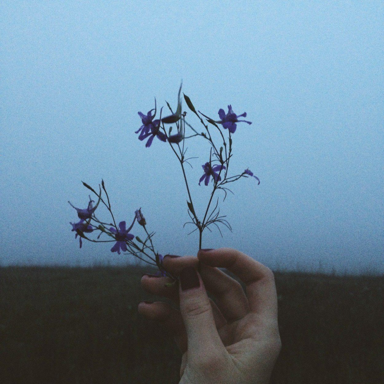 Эстетика Кэйи