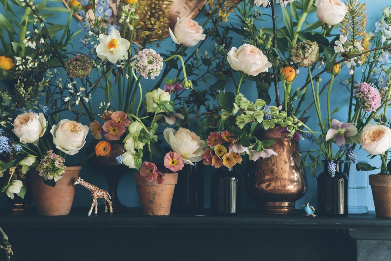 Цветы Пинтерест цветы