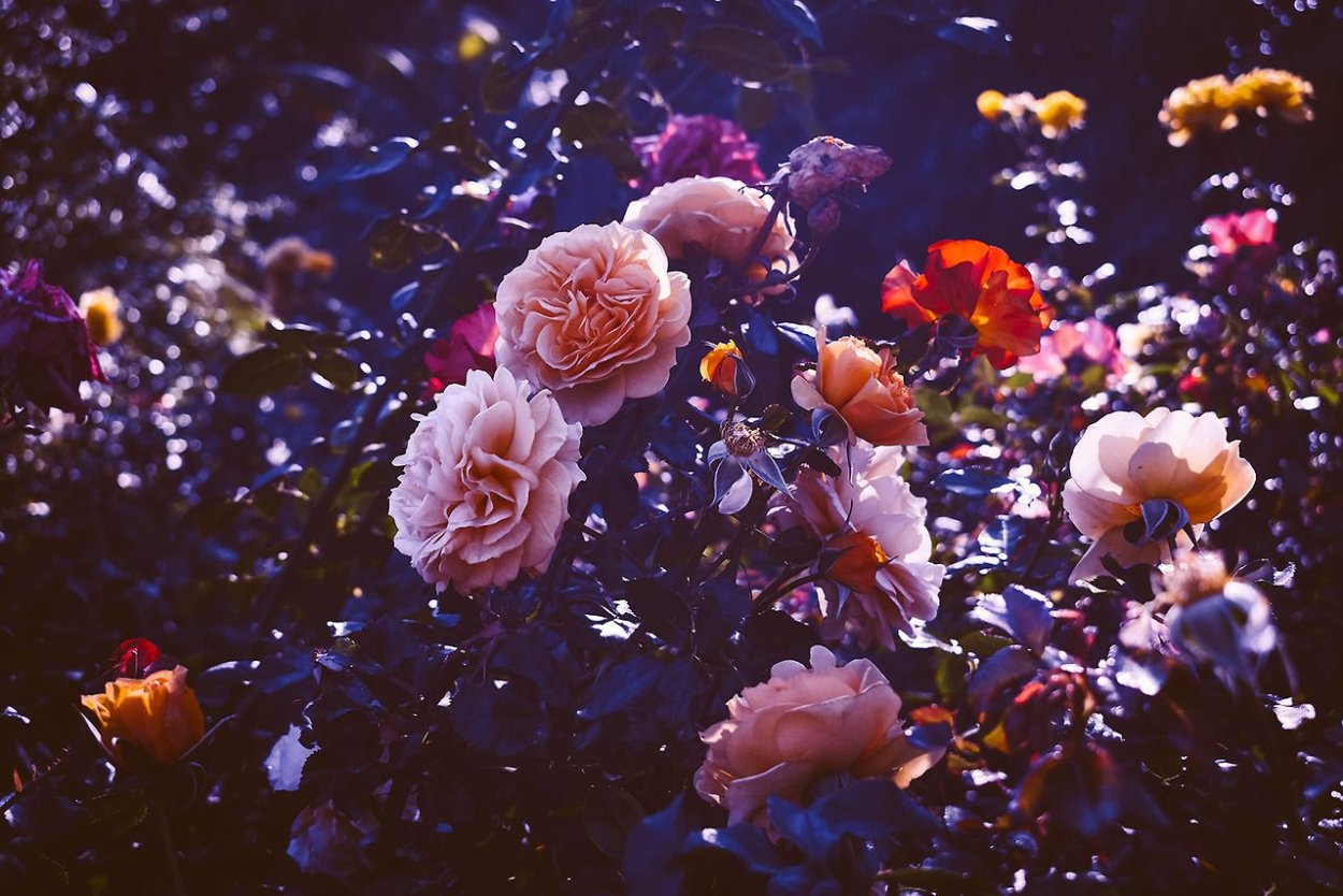 Цветочная Эстетика