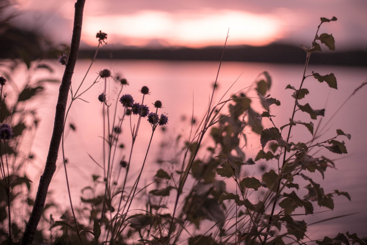 Эстетика синего цвета