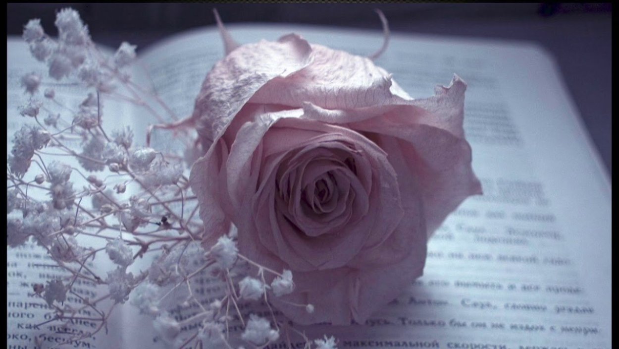 Печальные цветы