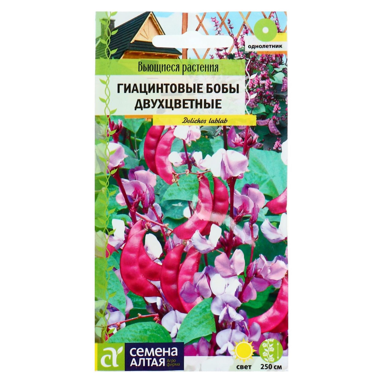 Гиацинтовые Бобы Рубиновая Луна