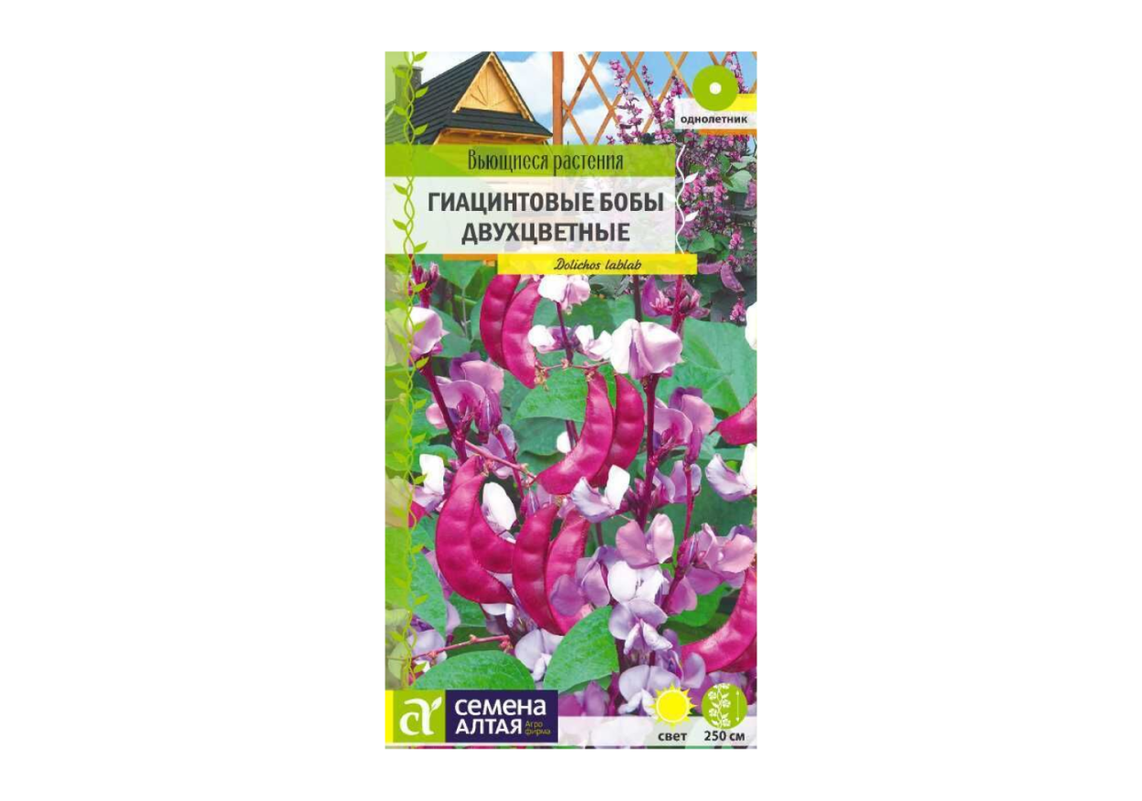 Долихос Руби Мун