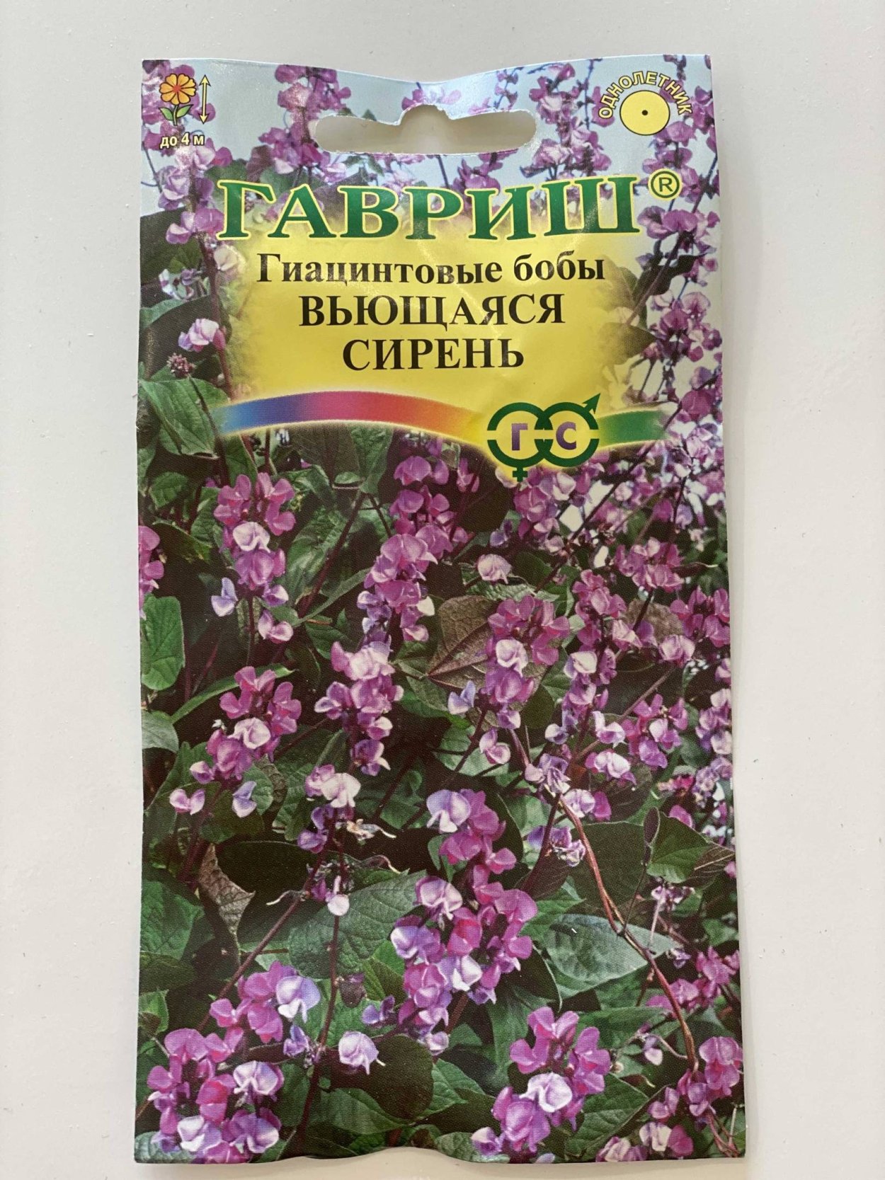 Гиацинты поля Голландия