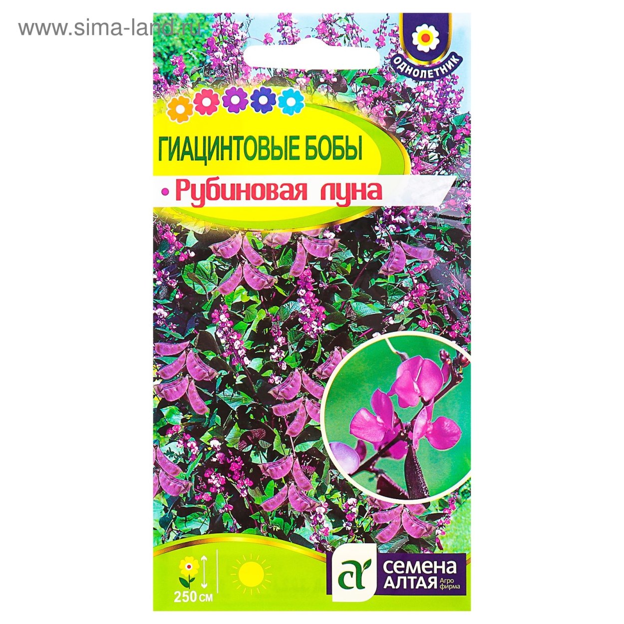 Долихос лаблаб