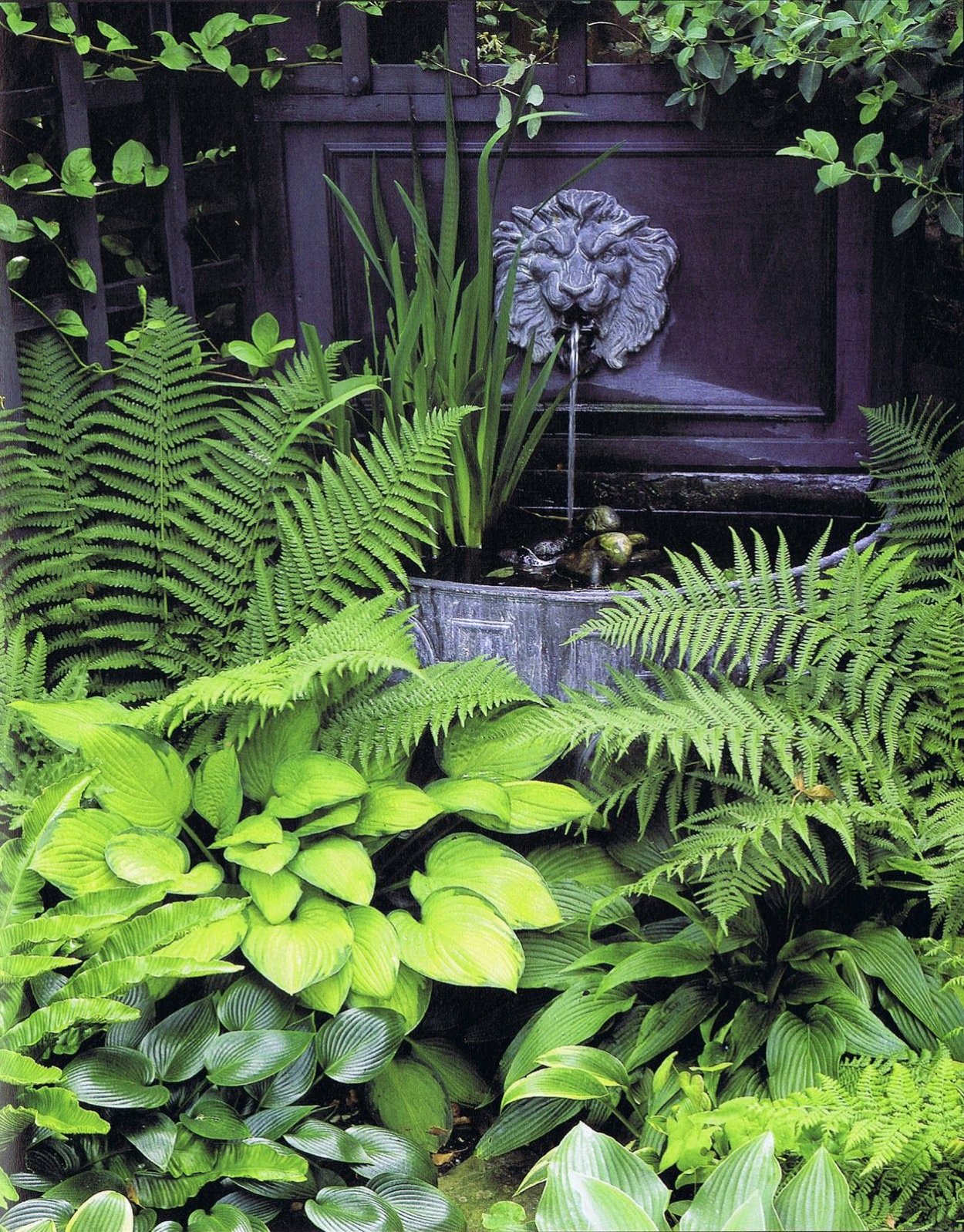 Камышовая Орхидея