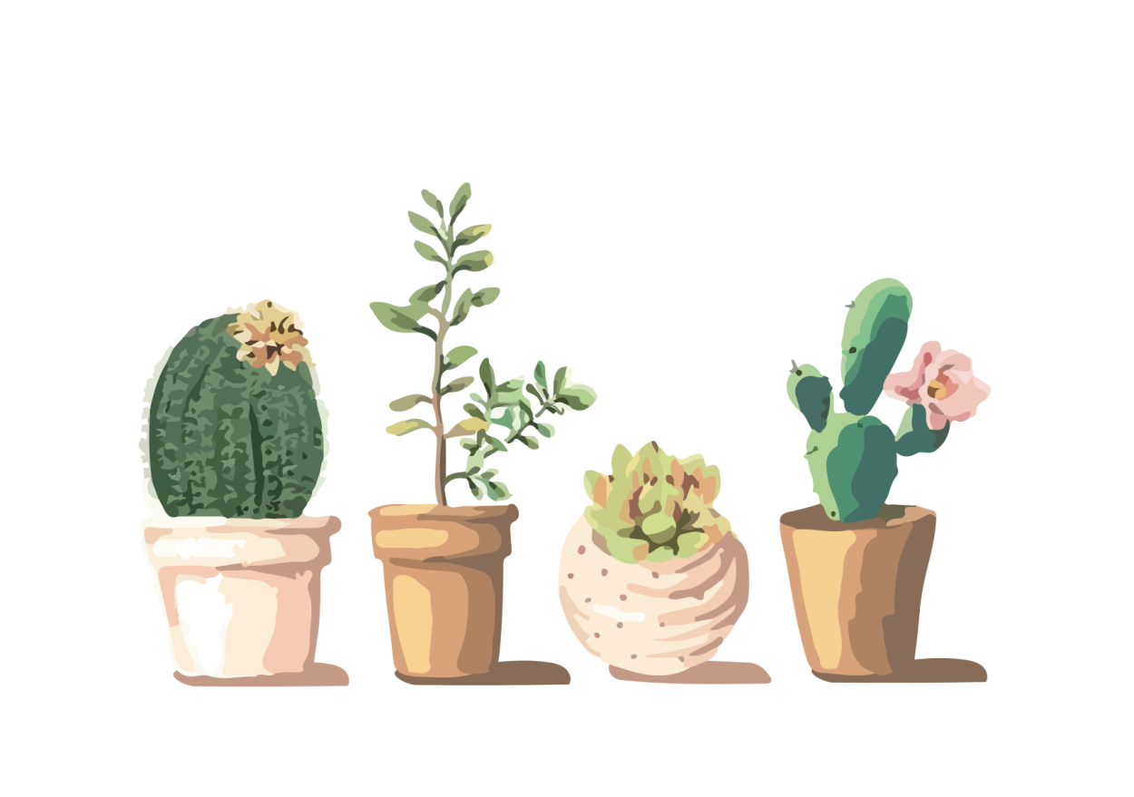 Маленькие горшочки для цветов