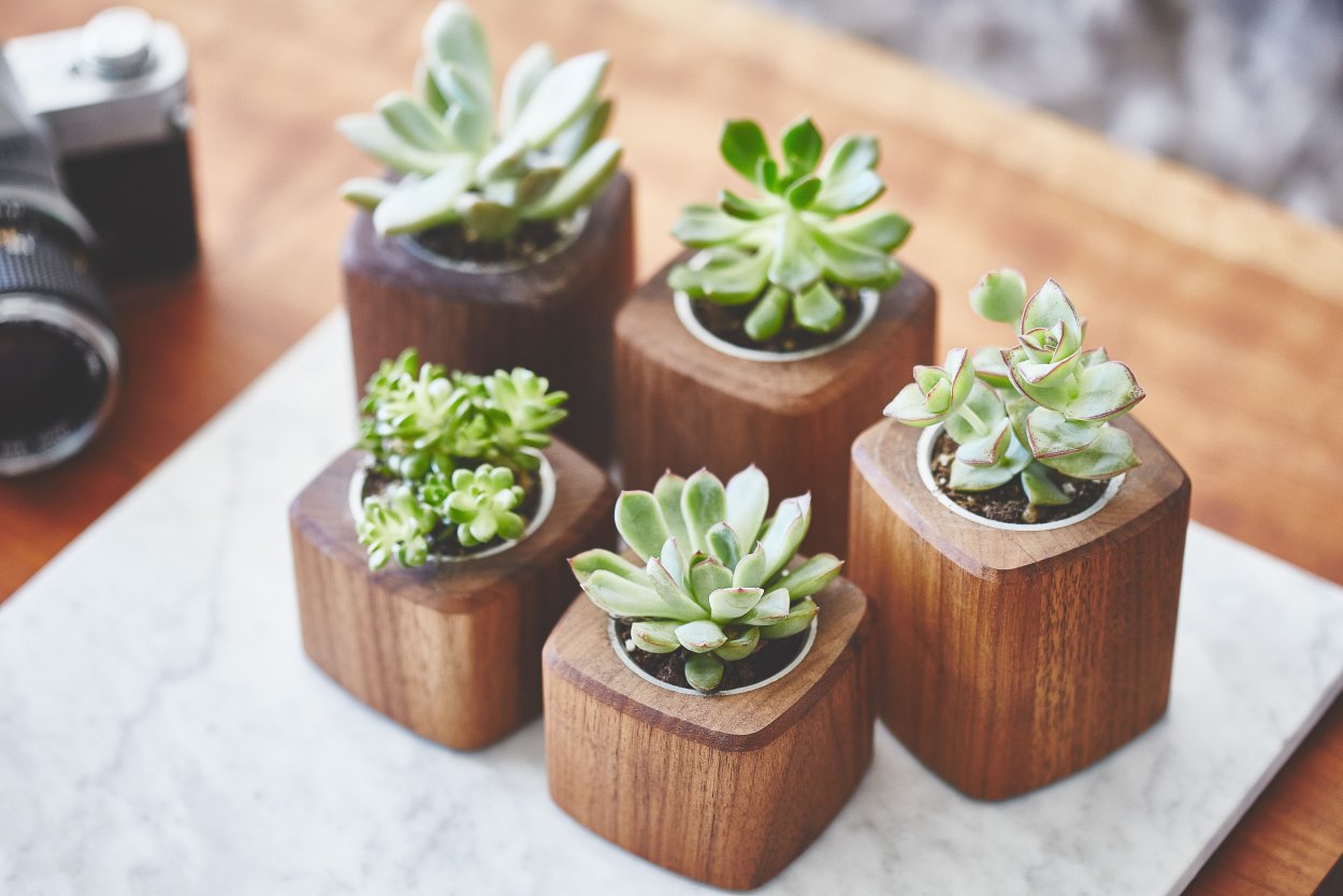 Композиция в лейке