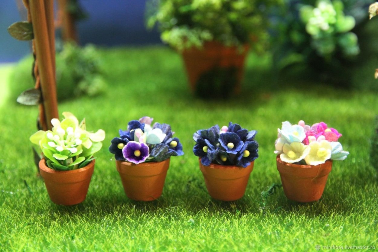 Кактус акварель паттерн