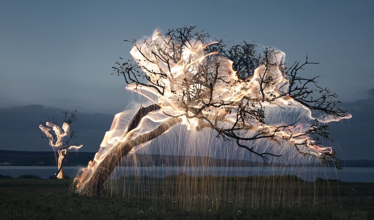 Дерево Эстетика