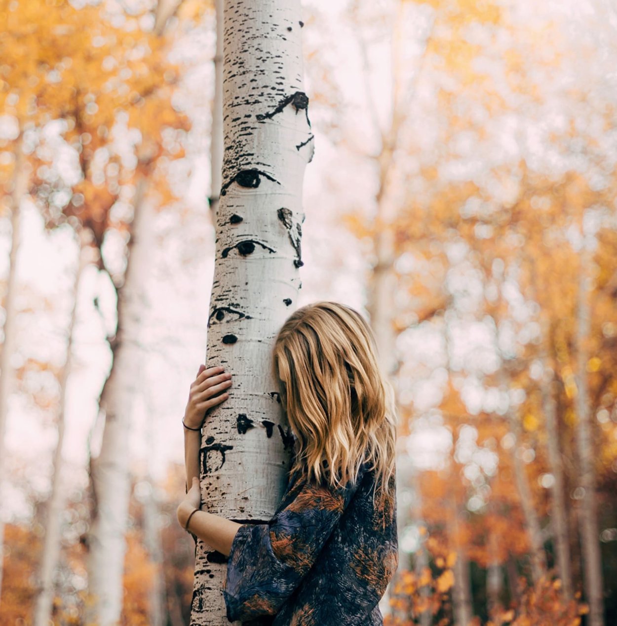 Обнимается с березой