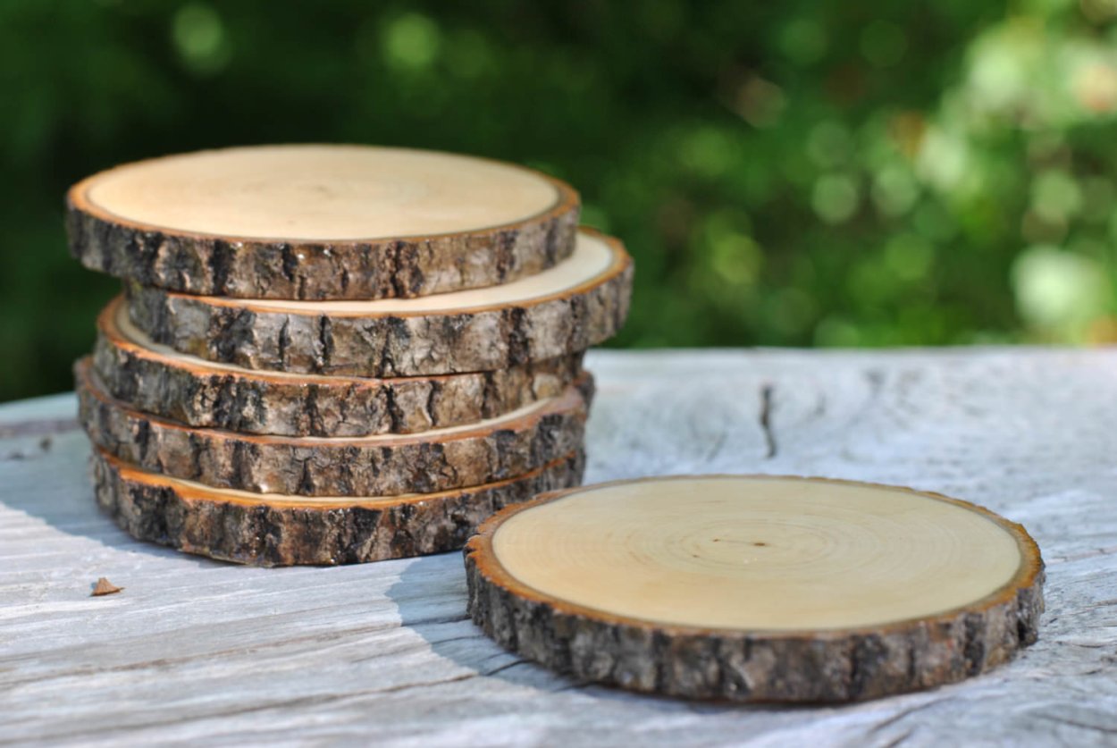 Спилы дерева для декора