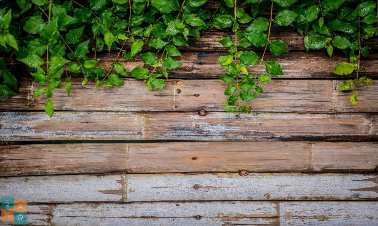 Деревянная стена фон