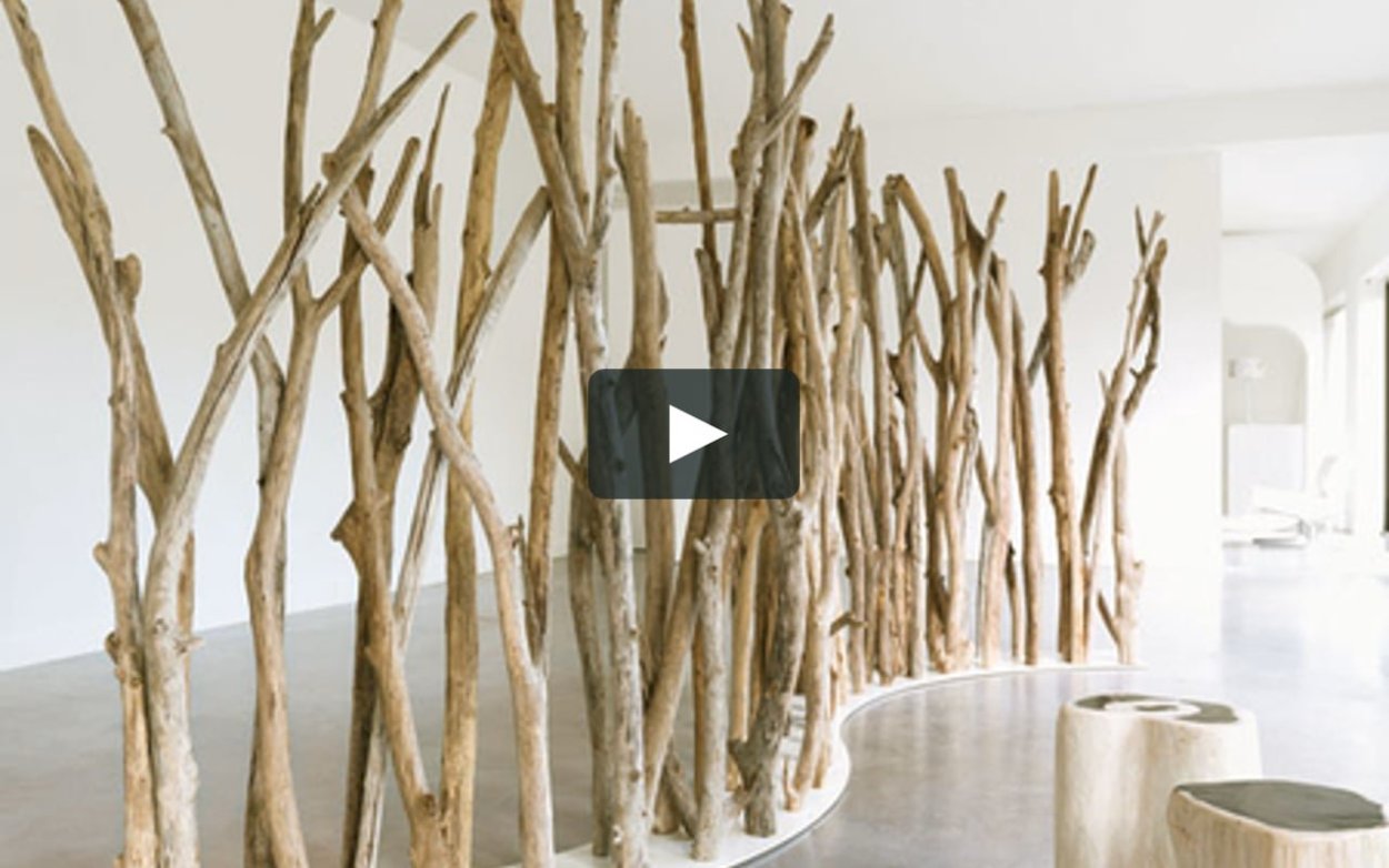 Осина Сибирская