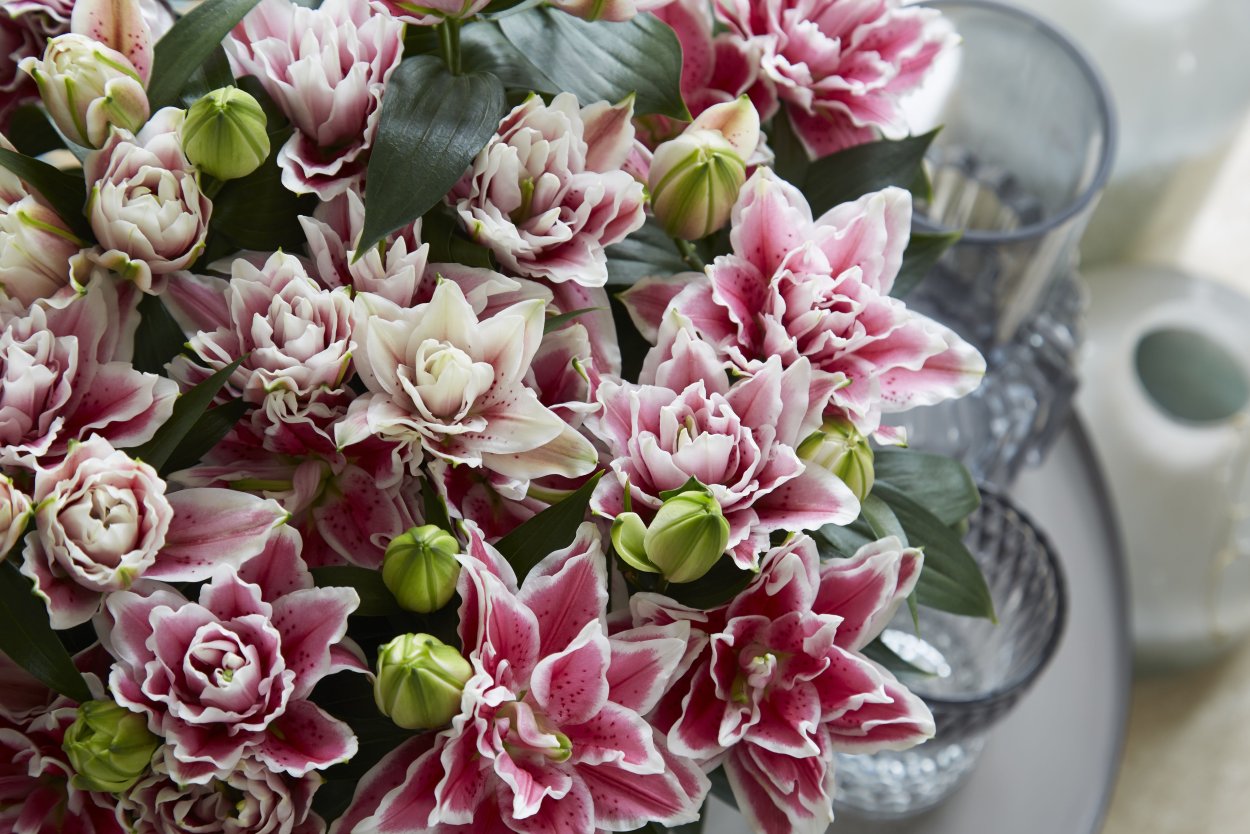 Золотые лилии