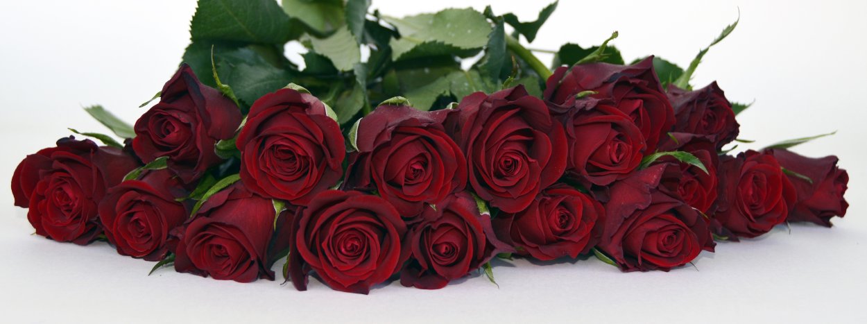 Флорико 15 бордовых роз, 70 см
