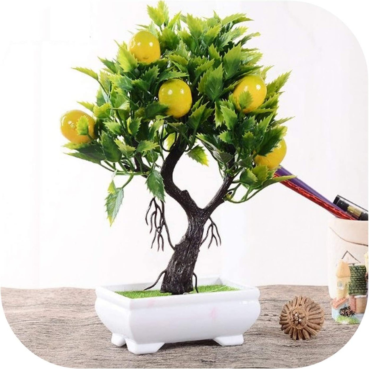 Дерево бонсай лимон