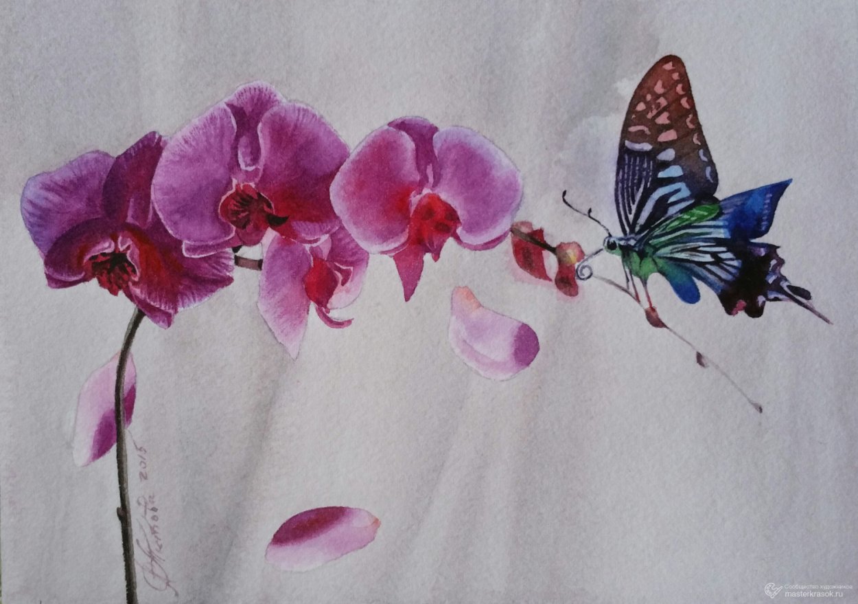 Рисование орхидеи акварелью