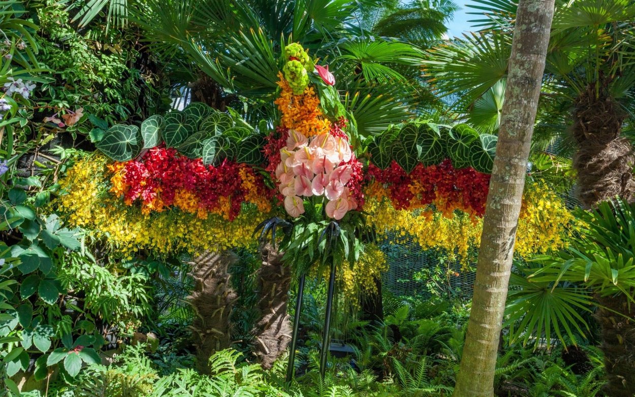 Тропики и субтропики