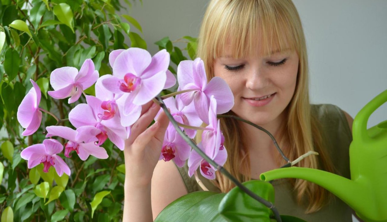 Поливаем орхидеи девушка