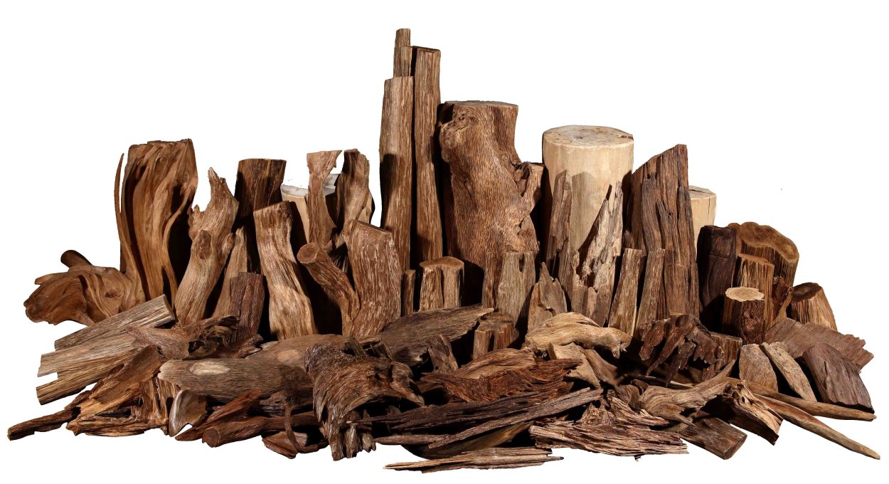 Агар древесина