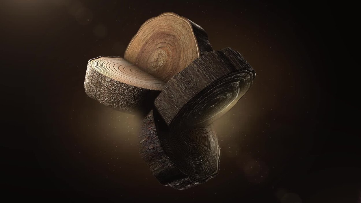 Мускус дерево