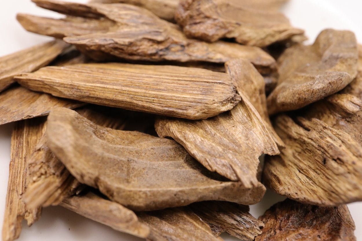 Секвойя Мафусаил