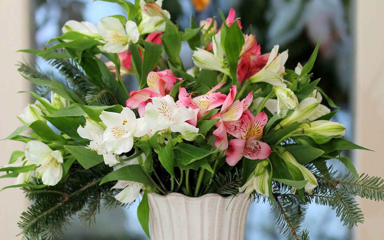 Цветы Аустерия букет