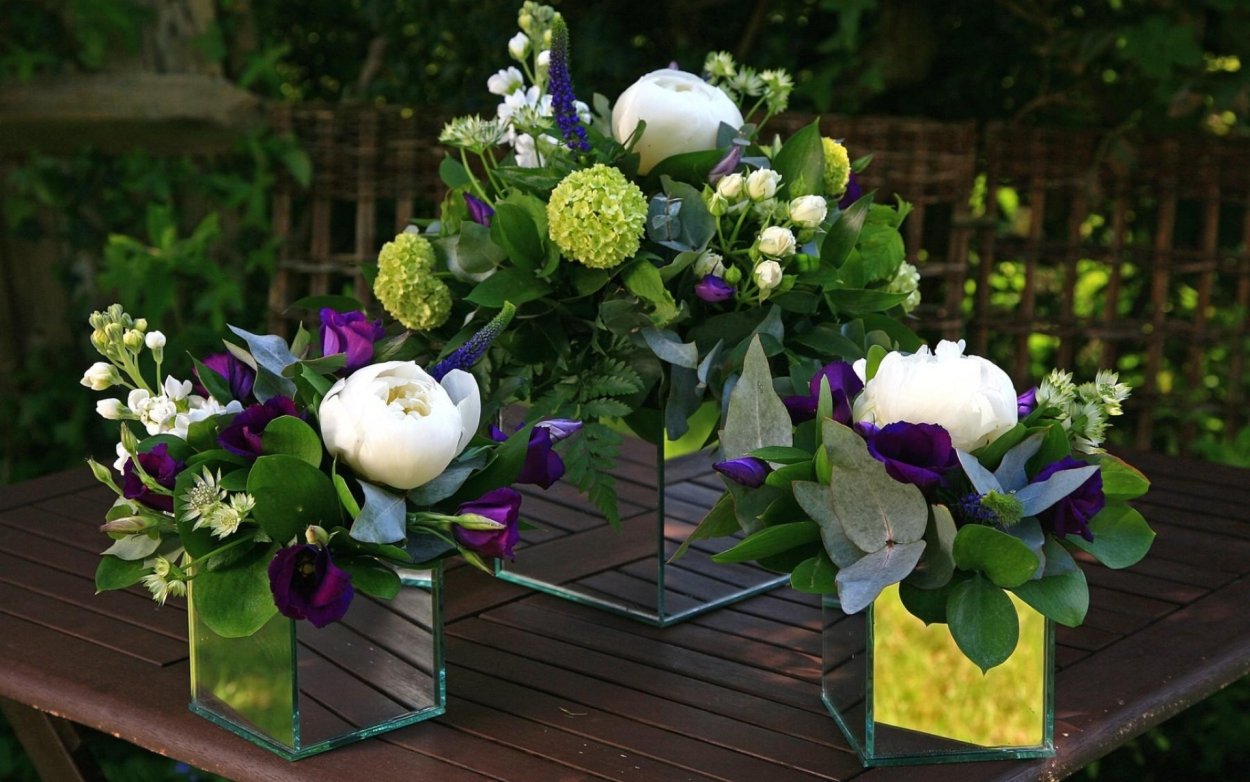 Альстромерия куст