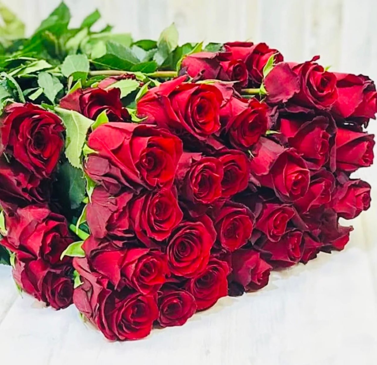 Роза кустовая марун